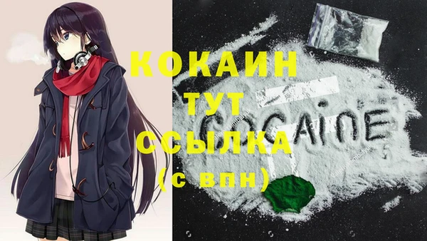 apvp Няндома
