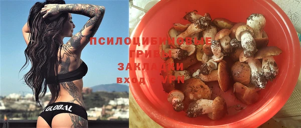 ПСИЛОЦИБИНОВЫЕ ГРИБЫ Нязепетровск