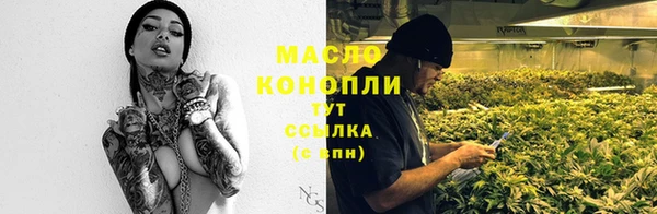 apvp Няндома