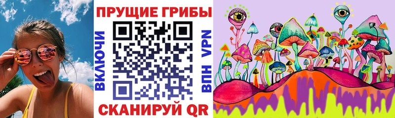 Псилоцибиновые грибы Psilocybe Чкаловск